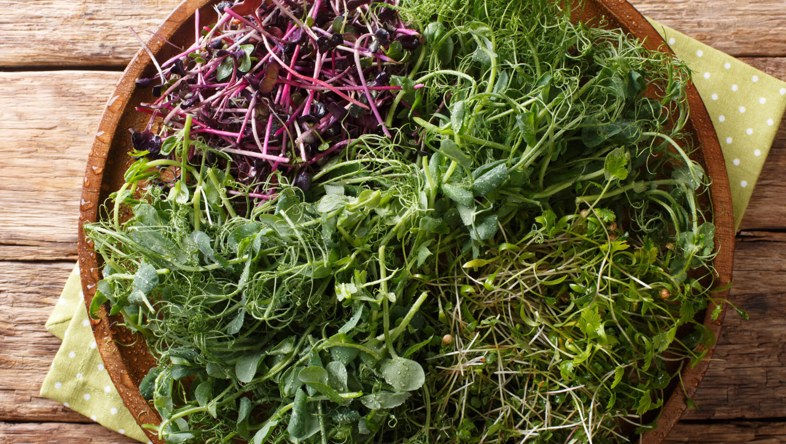 Microgreens may be small but they are filled with vitamins.